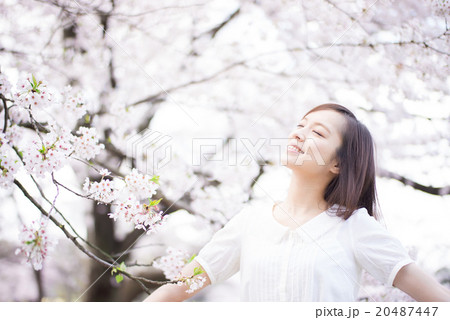 桜と女性 20487447