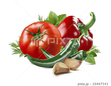 Tomato pepper chili garlic basil dill set isolated Tomato pepper chili garlic basil dill set isolated 20487541