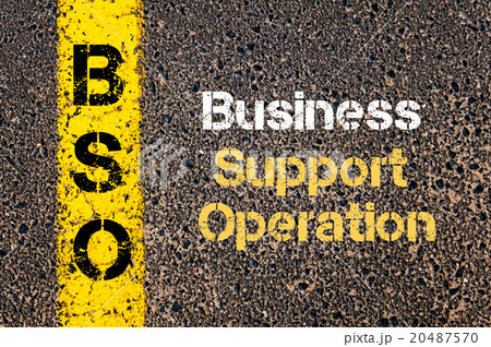 Business Acronym BSO Business Support Operation 20487570