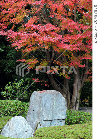泉涌寺心照殿の枯山水 20487850