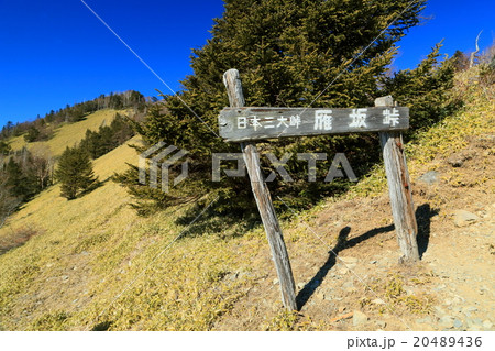 奥秩父・雁坂峠の風景 奥秩父・雁坂峠の風景 20489436