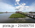 Lake in southern thailand 20489750
