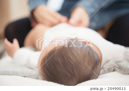 6 months old 20490013