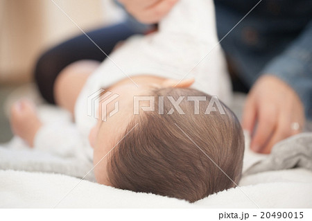 6 months old 6 months old 20490015