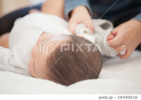 6 months old 6 months old 20490016