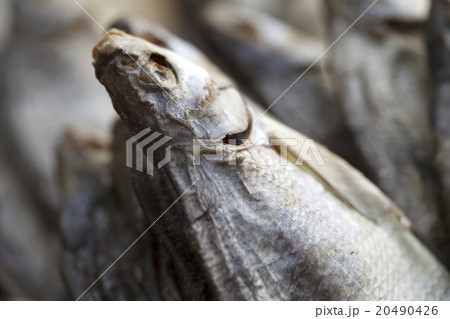 dried fish close up dried fish close up 20490426