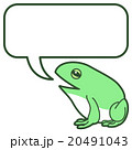 カエルから一言 20491043