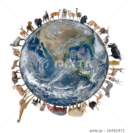 plannet of animal plannet of animal 20492972