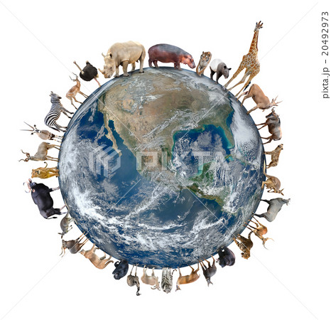 plannet of animal 20492973