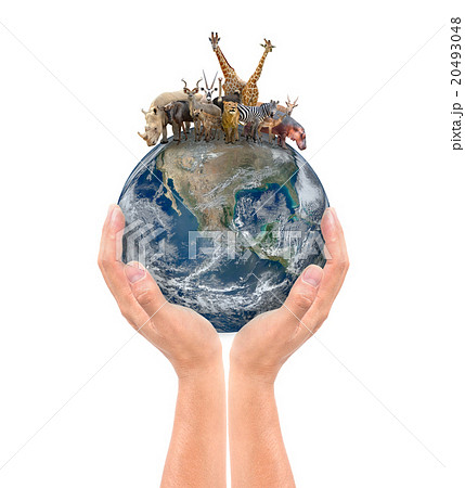 hand hold animal on the earth 20493048