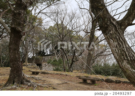 佐伯城跡の写真 20493297