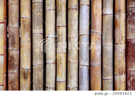 bamboo texture 20493923