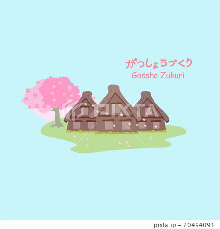 Gassho zukuri with cherry blossom 20494091