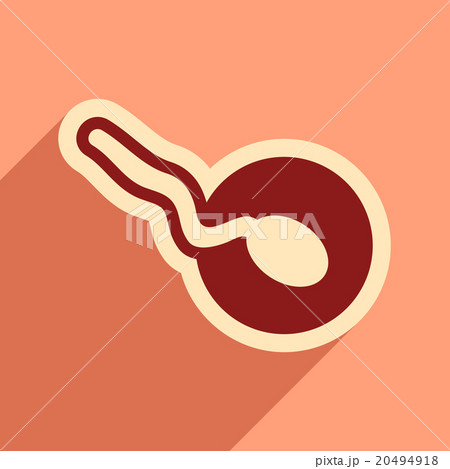 flat icon with long shadow sperm and egg 20494918