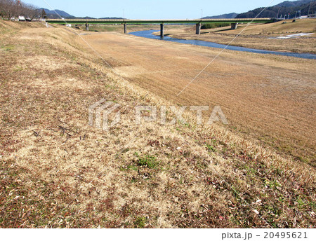 2月の河川土手 2月の河川土手 20495621