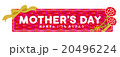 母の日 20496224