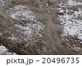 dirty frozen ground 20496735