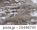 dirty frozen ground 20496745