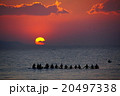 初日の出 20497338