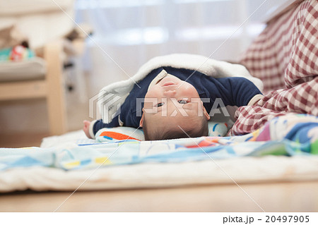 6 months old 20497905