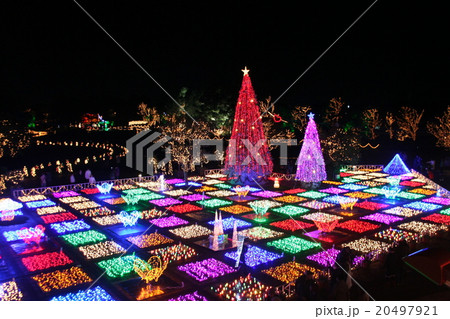 花園の夜景1 20497921