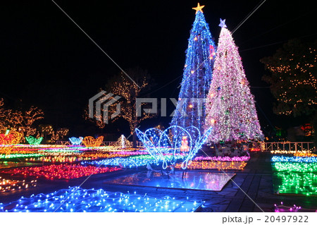 花園の夜景2 花園の夜景2 20497922