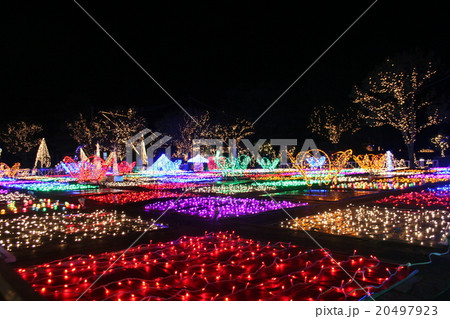 花園の夜景3 花園の夜景3 20497923