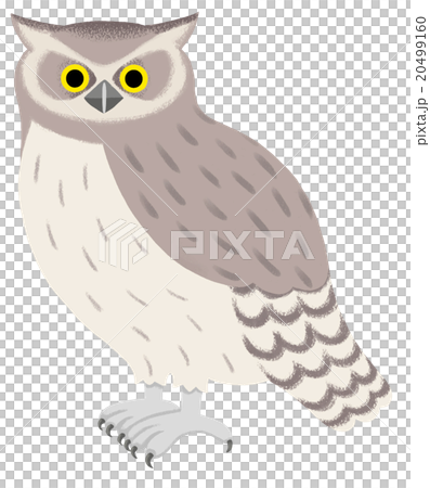 フクロウの絵 フクロウの絵