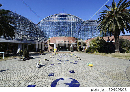 夢の島熱帯植物館 20499308