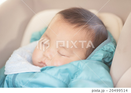 6 months old 20499514