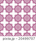 幾何学模様 20499707
