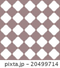 幾何学模様 20499714