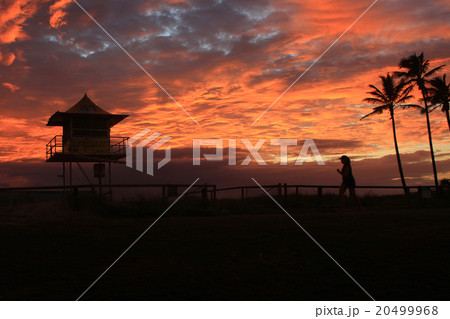 朝焼けとパームツリーとライフセイバータワー 20499968