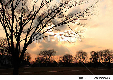 冬の夕暮れ風景 20499983