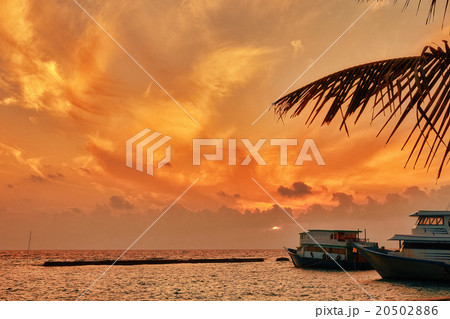 Sunrise on a tropical island in the Indian Ocean. 20502886