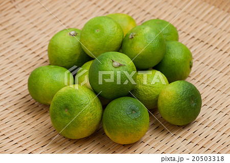 スダチ スダチ 20503318