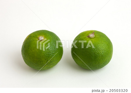 スダチ スダチ 20503320