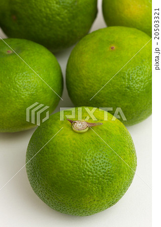 スダチ スダチ 20503321