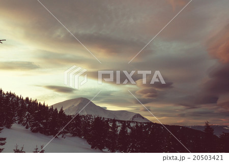 Carpathian mountains Carpathian mountains 20503421