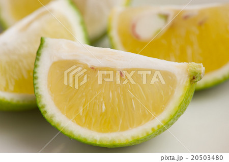 スダチ スダチ 20503480