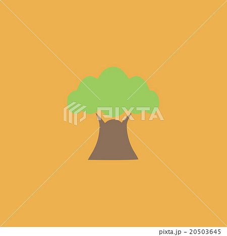 Baobab tree icon Baobab tree icon 20503645
