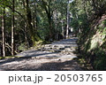 元伊勢神社参道 20503765
