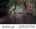 元伊勢神社　真名井の湧水 20503766