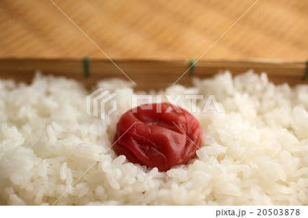 日の丸弁当 日の丸弁当 20503878