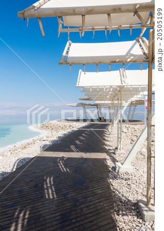 Landscape Dead Sea coastline 20505199
