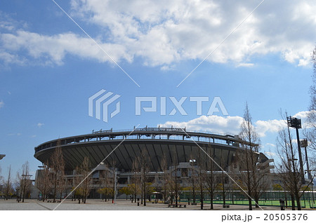 松山中央公園 松山中央公園 20505376