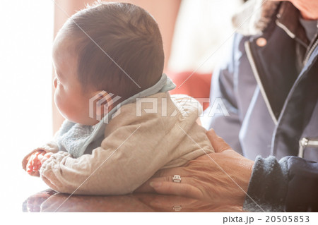 6 months old 6 months old 20505853