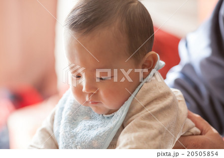 6 months old 20505854