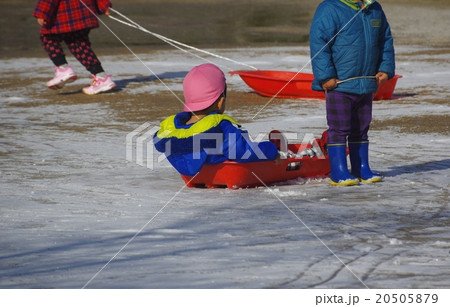 子供のそり遊び　園児のそり遊び 20505879