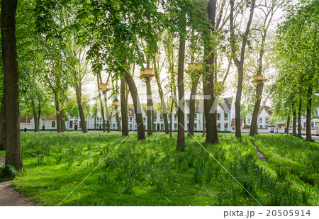 Tree Houses in the Beguinage Garden in Bruges 20505914
